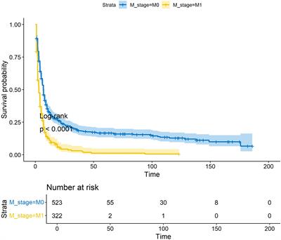 Development of a novel dynamic nomogram for predicting overall survival in anaplastic thyroid cancer patients with distant metastasis: a population-based study based on the SEER database